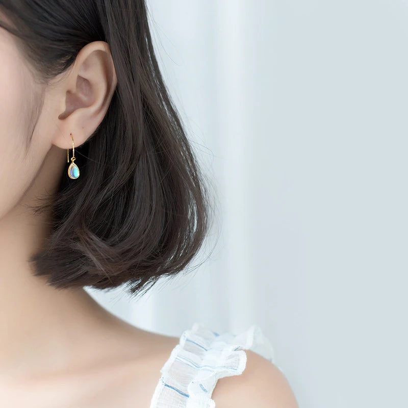 Pretty in Bling Drop Earrings