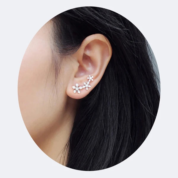 Flourish Your Sparkle Ear Climbers