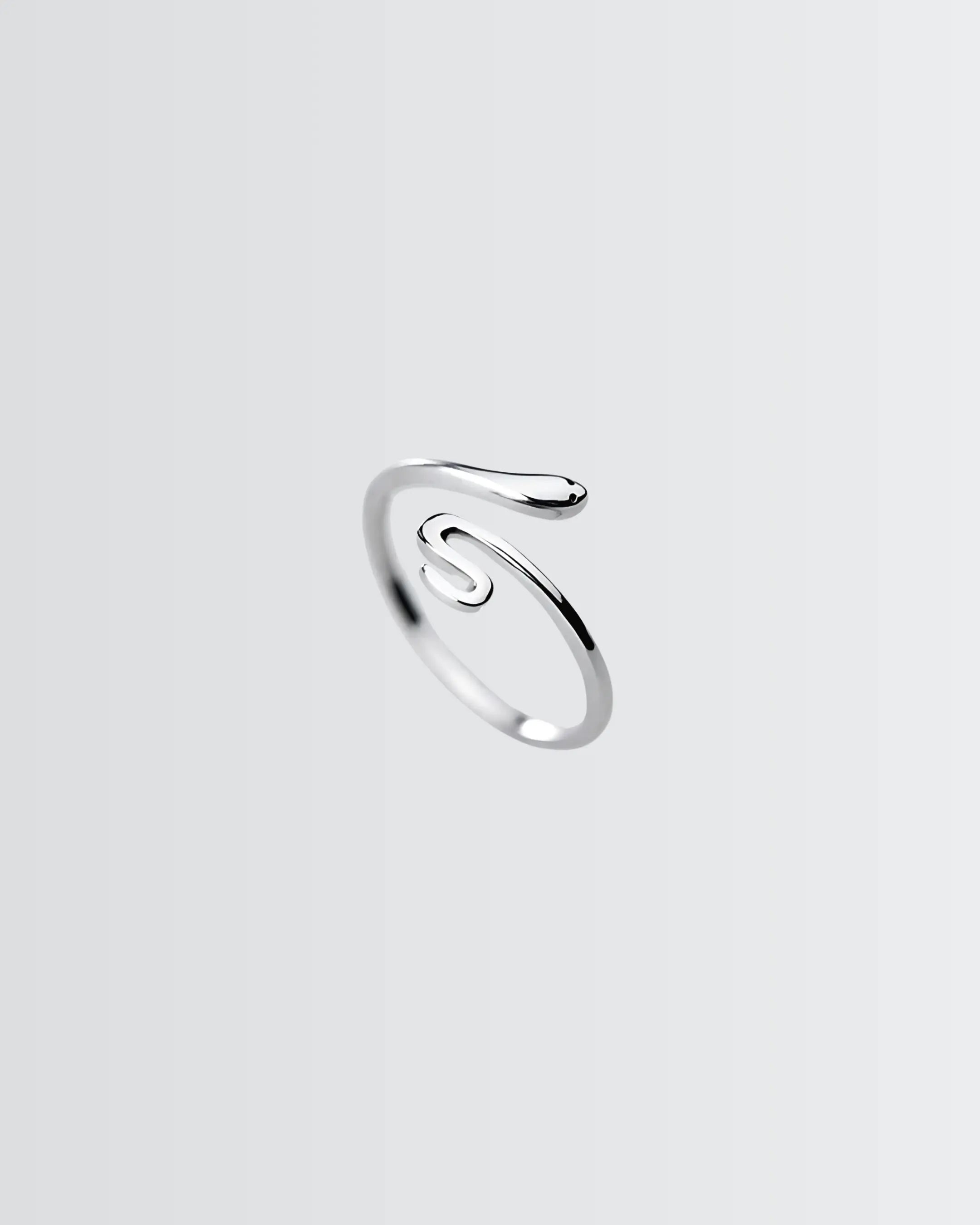 Satiny Slytherin Ring -  Silver Ring by BLINGLANE